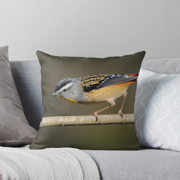 Item preview, Male Spotted Pardelote in afternoon sun light designed and sold by David  Hibberd.