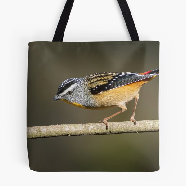 Item preview, Male Spotted Pardelote in afternoon sun light designed and sold by David  Hibberd.