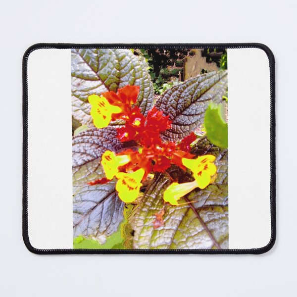 Item preview, Two Colos in One designed and sold by Dhors.