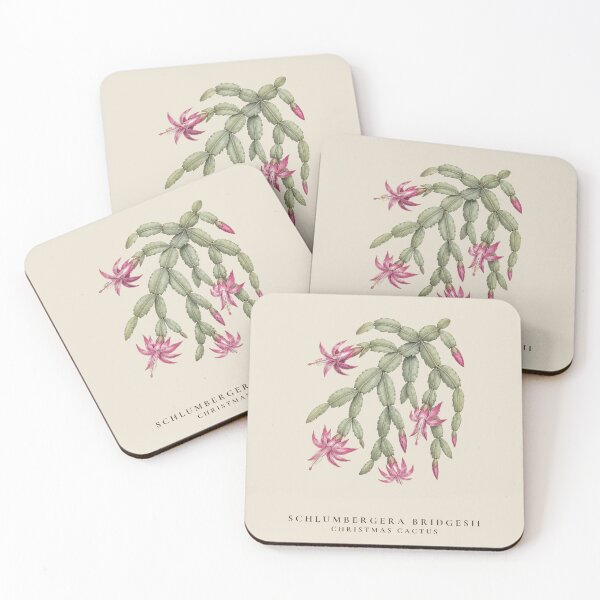 Item preview, Christmas Cactus Vintage Botanical Illustration Schlumbergera Bridgesii designed and sold by Panom Suavichien.
