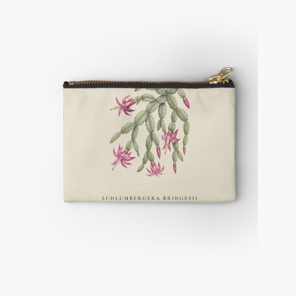 Item preview, Christmas Cactus Vintage Botanical Illustration Schlumbergera Bridgesii designed and sold by Panom Suavichien.