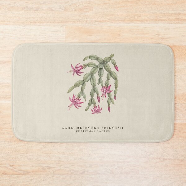 Item preview, Christmas Cactus Vintage Botanical Illustration Schlumbergera Bridgesii designed and sold by Panom Suavichien.