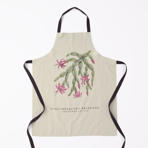 Item preview, Christmas Cactus Vintage Botanical Illustration Schlumbergera Bridgesii designed and sold by Panom Suavichien.