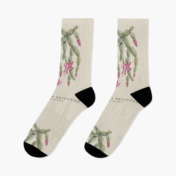 Item preview, Christmas Cactus Vintage Botanical Illustration Schlumbergera Bridgesii designed and sold by Panom Suavichien.