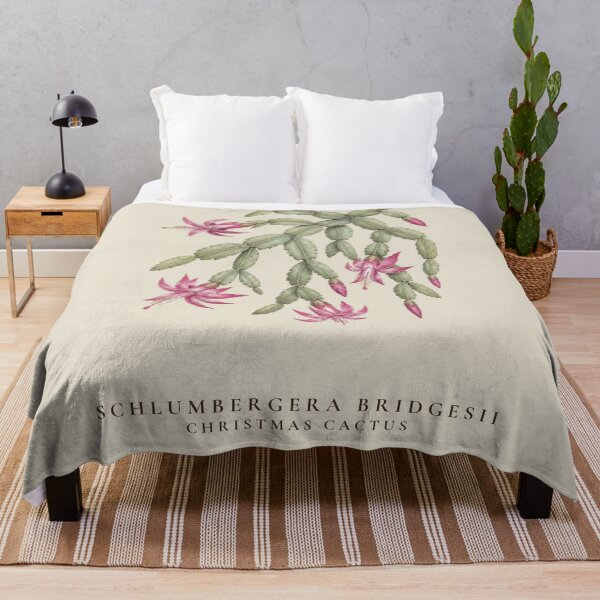 Item preview, Christmas Cactus Vintage Botanical Illustration Schlumbergera Bridgesii designed and sold by Panom Suavichien.
