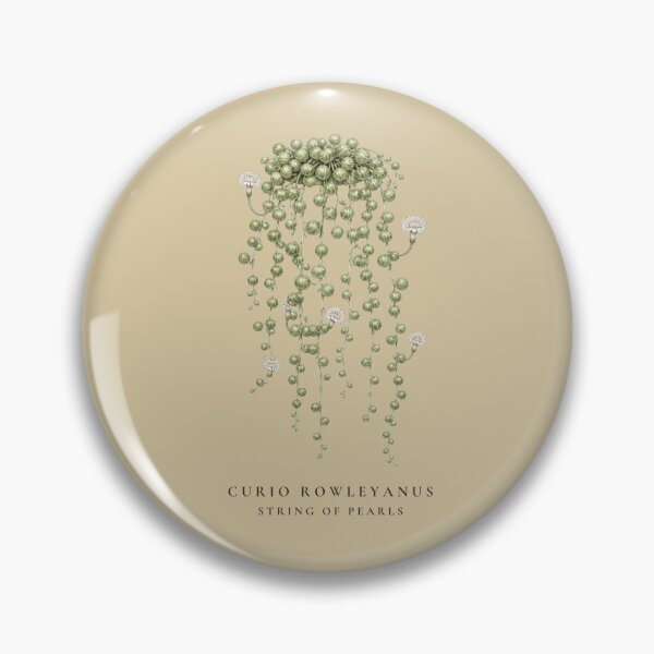 Item preview, String of Pearls Vintage Botanical Illustration Curio Rowleyanus designed and sold by Panom Suavichien.