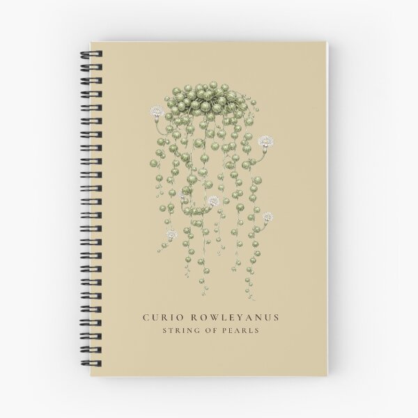 Item preview, String of Pearls Vintage Botanical Illustration Curio Rowleyanus designed and sold by Panom Suavichien.