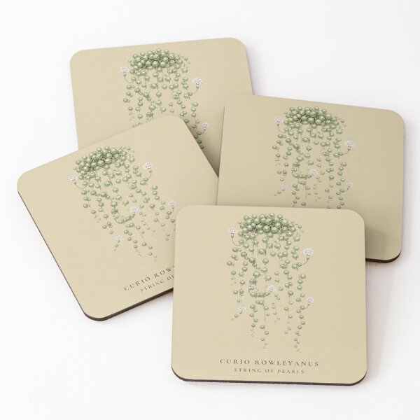 Item preview, String of Pearls Vintage Botanical Illustration Curio Rowleyanus designed and sold by Panom Suavichien.