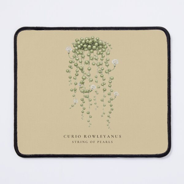 Item preview, String of Pearls Vintage Botanical Illustration Curio Rowleyanus designed and sold by Panom Suavichien.