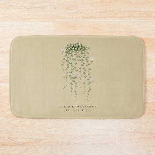 Item preview, String of Pearls Vintage Botanical Illustration Curio Rowleyanus designed and sold by Panom Suavichien.