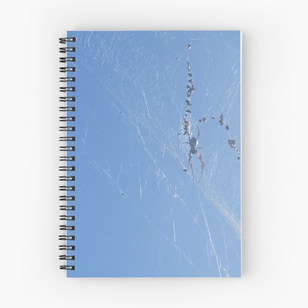 Item preview, Sydney Blue Sky Spider Web designed and sold by somebody who lived.