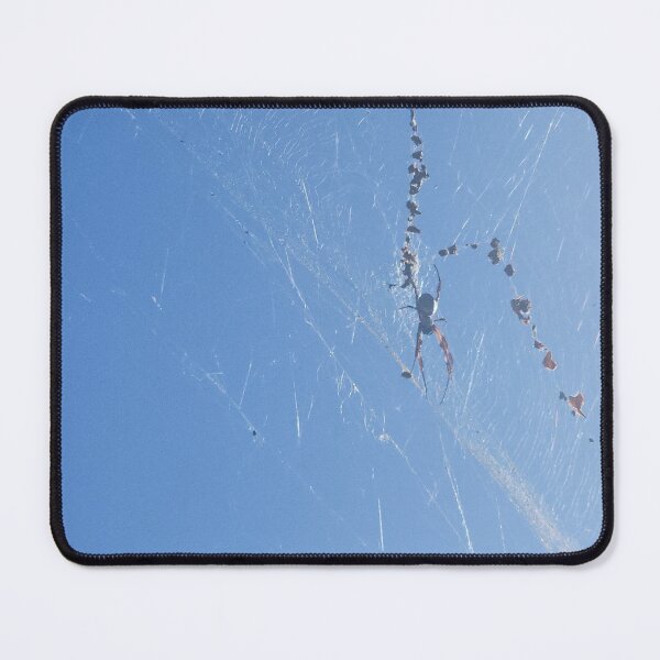 Item preview, Sydney Blue Sky Spider Web designed and sold by somebody who lived.