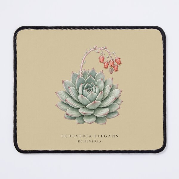 Item preview, Echeveria Succulent Vintage Botanical Illustration Echeveria Elegans designed and sold by Panom Suavichien.
