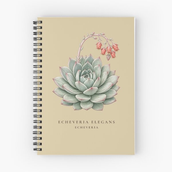 Item preview, Echeveria Succulent Vintage Botanical Illustration Echeveria Elegans designed and sold by Panom Suavichien.