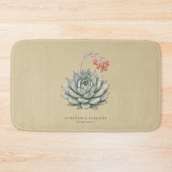 Item preview, Echeveria Succulent Vintage Botanical Illustration Echeveria Elegans designed and sold by Panom Suavichien.