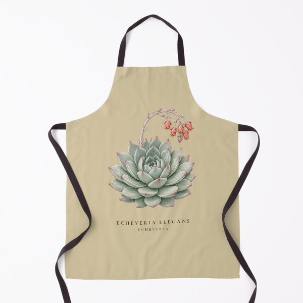 Item preview, Echeveria Succulent Vintage Botanical Illustration Echeveria Elegans designed and sold by Panom Suavichien.
