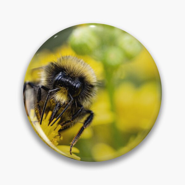 Item preview, Bumblebee, on a yellow flower  designed and sold by kathleenjean.