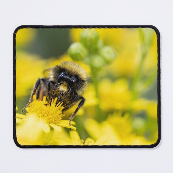 Item preview, Bumblebee, on a yellow flower  designed and sold by kathleenjean.