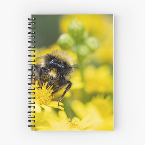 Item preview, Bumblebee, on a yellow flower  designed and sold by kathleenjean.