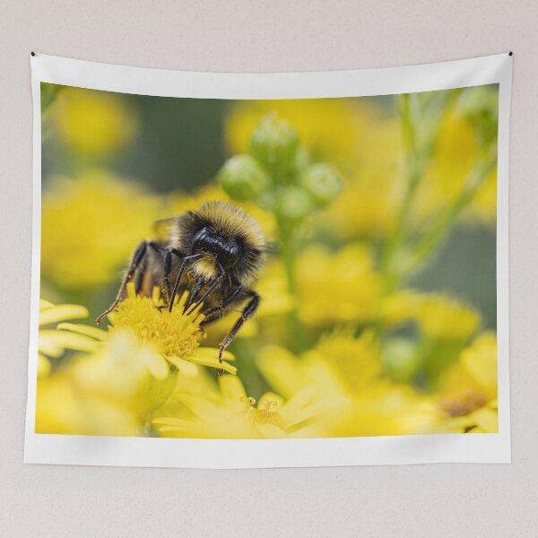 Item preview, Bumblebee, on a yellow flower  designed and sold by kathleenjean.