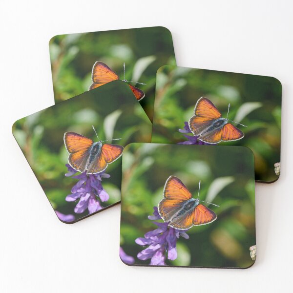 Item preview, Purple-edged copper designed and sold by Jouko Lehto Photography.