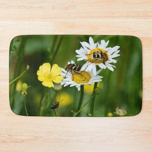 Item preview, Eurasian bee beetles and  a Black-striped Longhorn Beetle designed and sold by Jouko Lehto Photography.