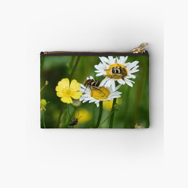 Item preview, Eurasian bee beetles and  a Black-striped Longhorn Beetle designed and sold by Jouko Lehto Photography.