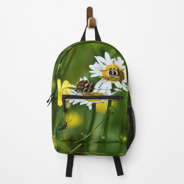 Item preview, Eurasian bee beetles and a Black-striped Longhorn Beetle designed and sold by Jouko Lehto Photography.