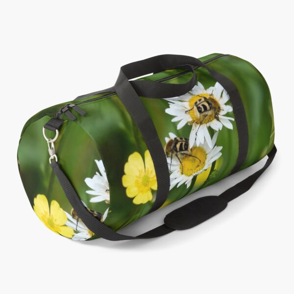 Item preview, Eurasian bee beetles and  a Black-striped Longhorn Beetle designed and sold by Jouko Lehto Photography.