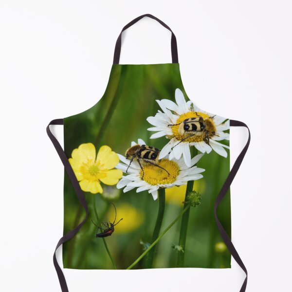 Item preview, Eurasian bee beetles and a Black-striped Longhorn Beetle designed and sold by Jouko Lehto Photography.