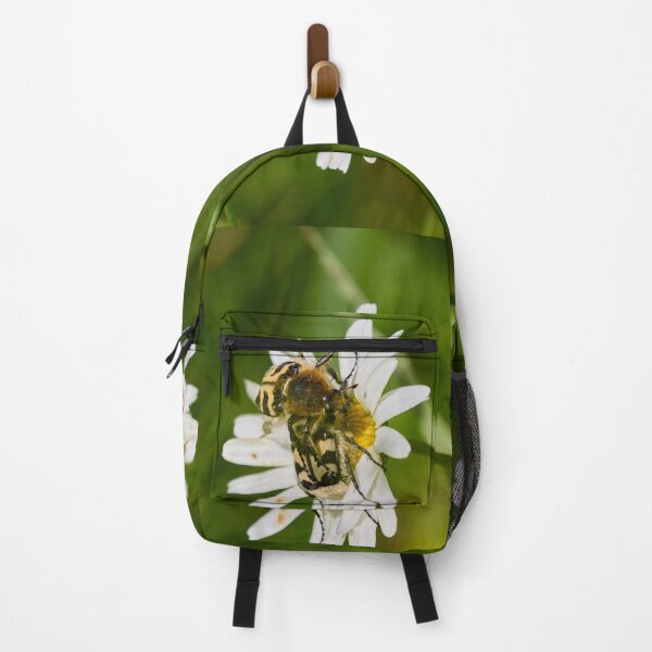 Item preview, Eurasian bee beetles on a Daisy designed and sold by Jouko Lehto Photography.