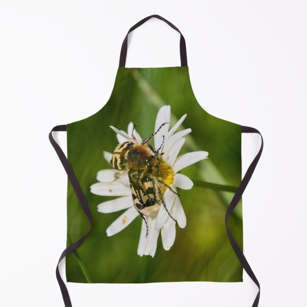 Item preview, Eurasian bee beetles on a Daisy designed and sold by Jouko Lehto Photography.