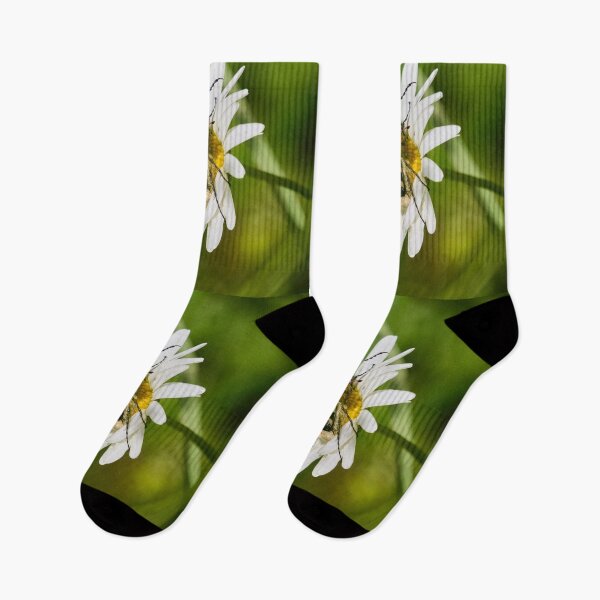 Item preview, Eurasian bee beetles on a Daisy designed and sold by Jouko Lehto Photography.