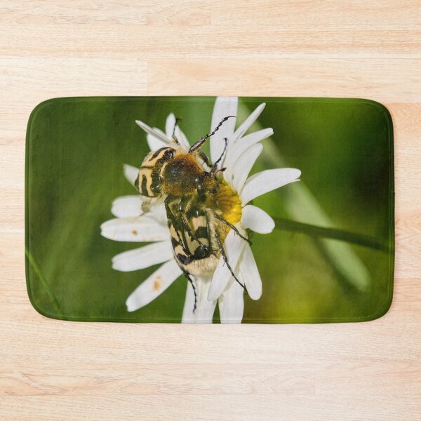 Item preview, Eurasian bee beetles on a Daisy designed and sold by Jouko Lehto Photography.