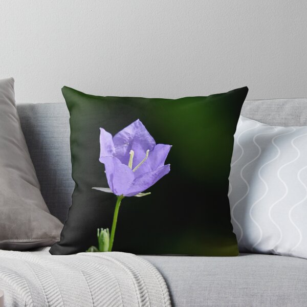 Item preview, One flower now. Peach-leaved Bellflower designed and sold by Jouko Lehto Photography.