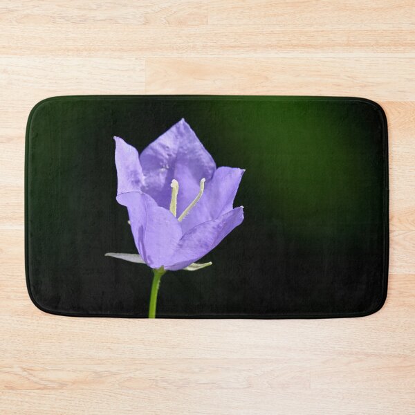 Item preview, One flower now. Peach-leaved Bellflower designed and sold by Jouko Lehto Photography.