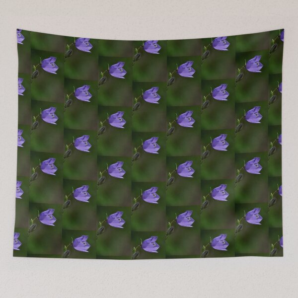 Item preview, Sideview. Peach-leaved Bellflower designed and sold by Jouko Lehto Photography.