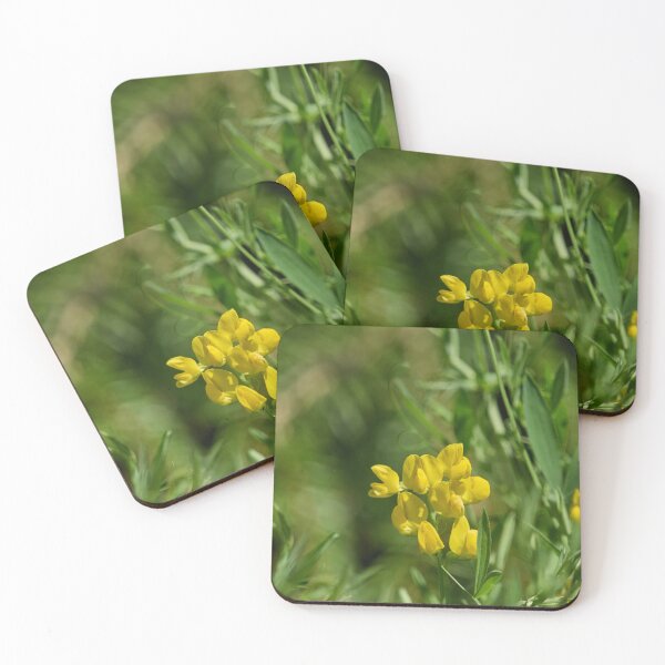 Item preview, No bees at the moment. Meadow Vetchling designed and sold by Jouko Lehto Photography.