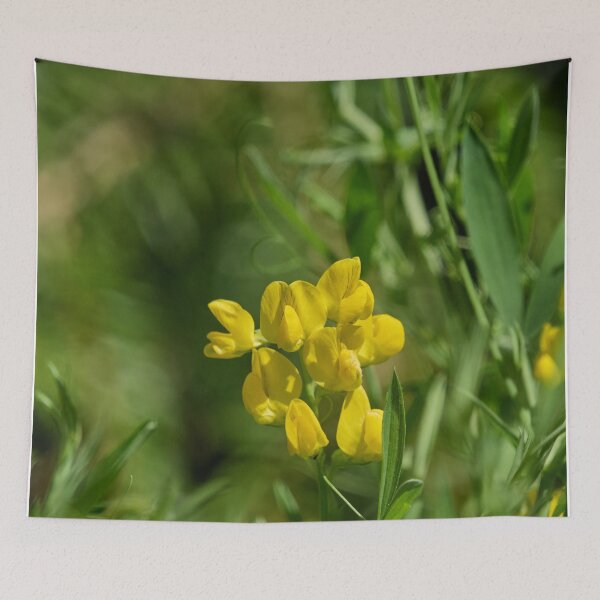 Item preview, No bees at the moment. Meadow Vetchling designed and sold by Jouko Lehto Photography.