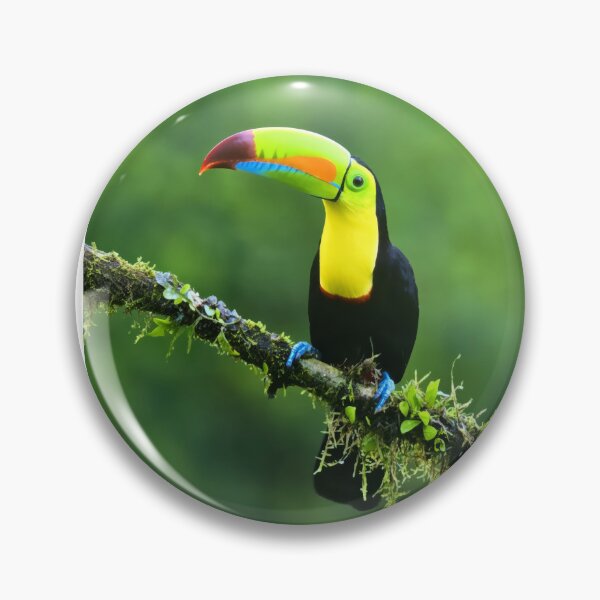 Item preview, Tropical Jewel – Keel-Billed Toucan designed and sold by Marina Langer Wildlife Art..