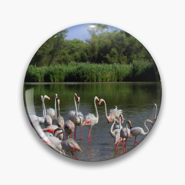 Item preview, Flamingos in Camargue designed and sold by annalisa56.