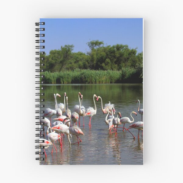 Item preview, Flamingos in Camargue designed and sold by annalisa56.