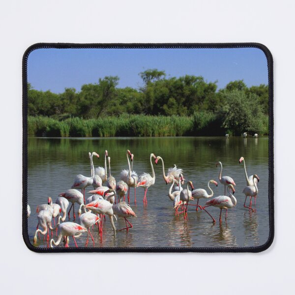 Item preview, Flamingos in Camargue designed and sold by annalisa56.