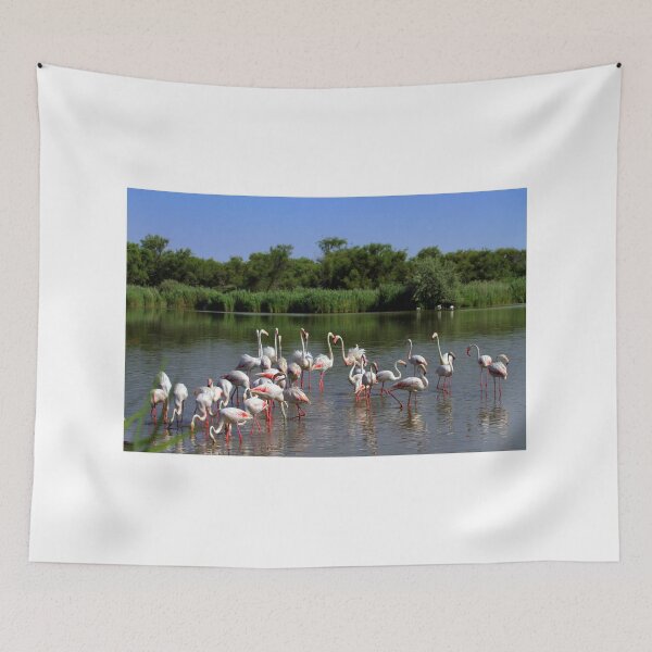 Item preview, Flamingos in Camargue designed and sold by annalisa56.