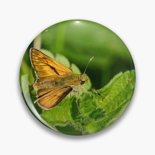 Item preview, The small Large skipper designed and sold by Jouko Lehto Photography.