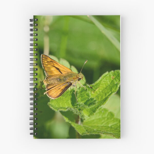 Item preview, The small Large skipper designed and sold by Jouko Lehto Photography.