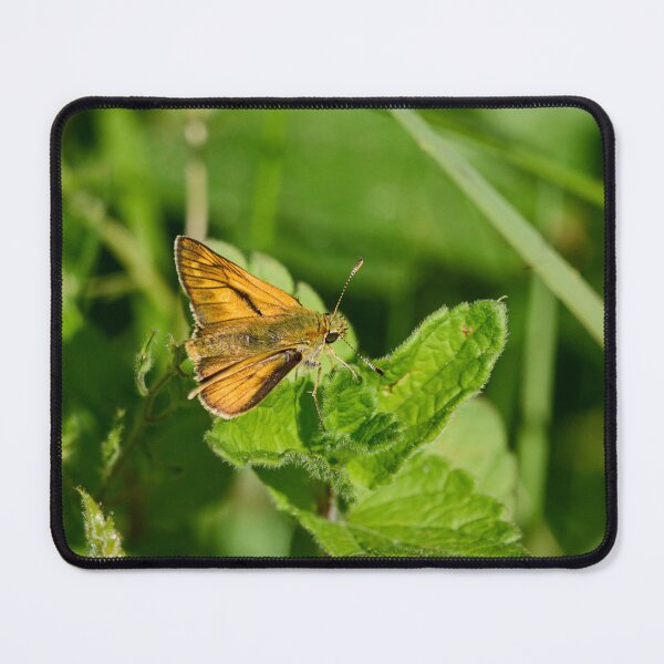 Item preview, The small Large skipper designed and sold by Jouko Lehto Photography.