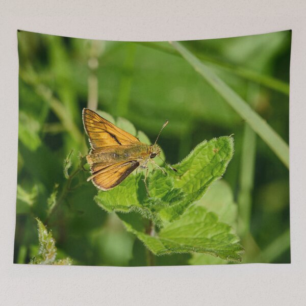 Item preview, The small Large skipper designed and sold by Jouko Lehto Photography.