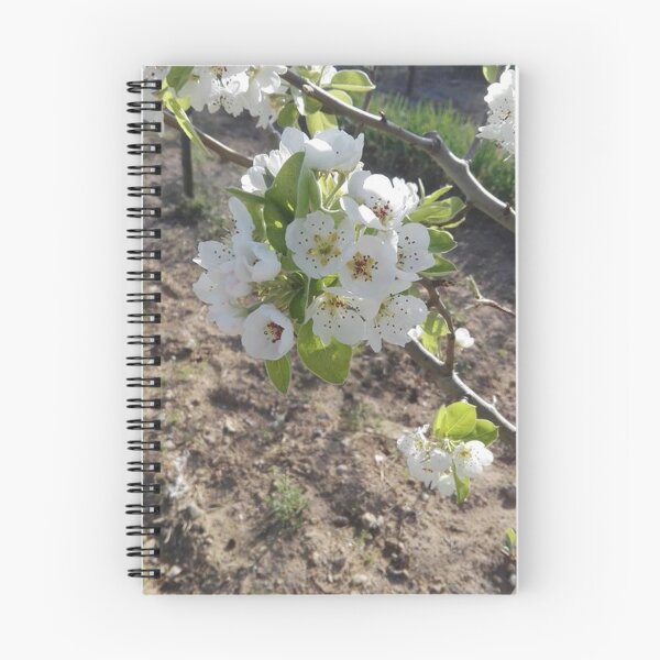 Item preview, Flowers. designed and sold by Nedel.