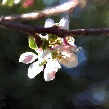 Artwork thumbnail, Apple Blossom [Roufxis-Rb] by RoufXis